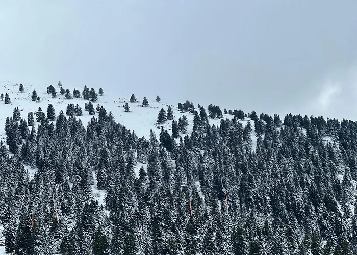 - Family Maisonette 別荘