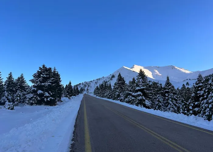 - Family Maisonette بيت للعطل