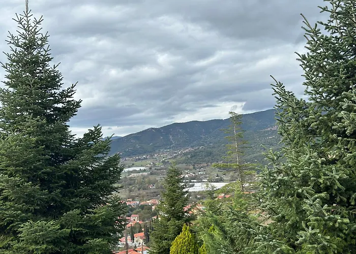 - Family Maisonette 別荘 *